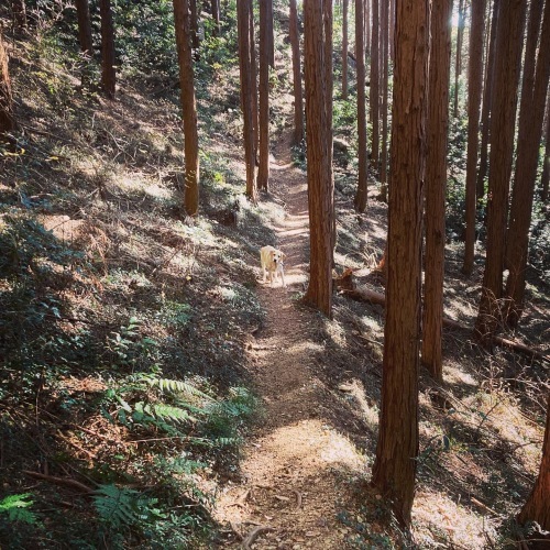日和田山散歩_c0331145_19341207.jpg