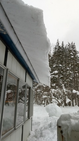 またまた今日の雪_b0343293_21411940.jpg