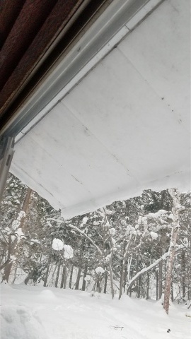 またまた今日の雪_b0343293_21413465.jpg