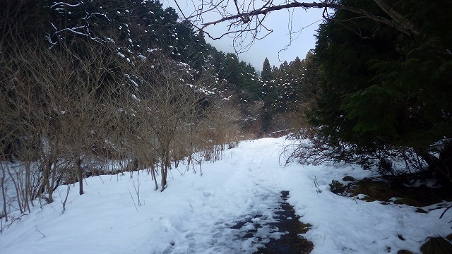 2022.1.9 雪の蓬莱山 _c0367922_20344178.jpg