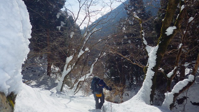 2022.1.9 雪の蓬莱山 _c0367922_20452735.jpg