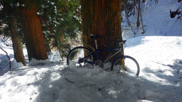 2022.1.9 雪の蓬莱山 _c0367922_20452761.jpg