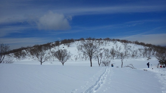 2022.1.9 雪の蓬莱山 _c0367922_20534874.jpg