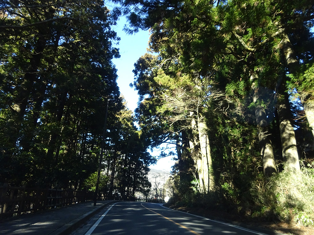 箱根関所〜芦ノ湖〜箱根湯本まで_f0097523_15393029.jpg