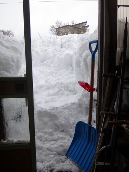 この冬の雪山? ミャンハウスとコンポストなど_a0136293_17130202.jpg
