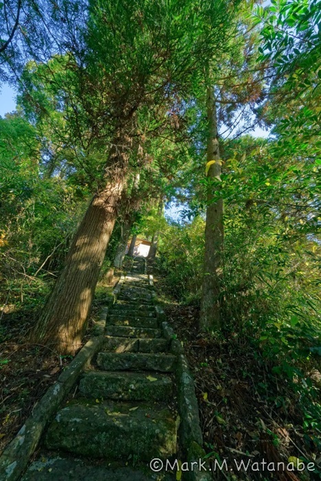 金福寺の出雲神社_e0135098_00045232.jpg