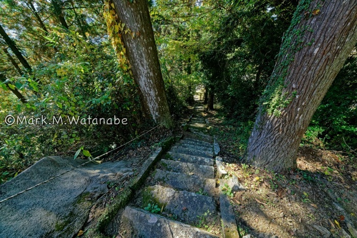 金福寺の出雲神社_e0135098_00051971.jpg