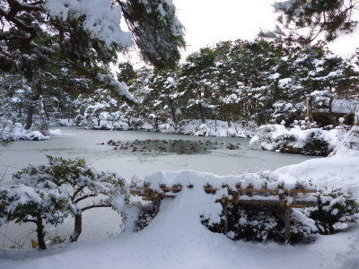 清水園　今朝の雪景色_e0135219_11262931.jpg