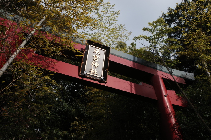 正月熱海旅行記 その14_a0287336_14333518.jpg