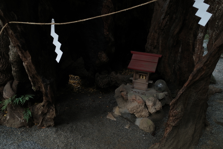 正月熱海旅行記 その14_a0287336_14383425.jpg