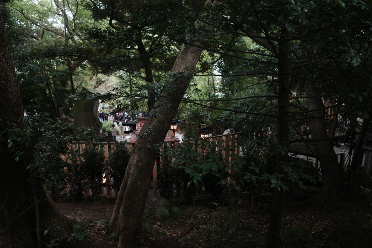 正月熱海旅行記 その14_a0287336_14440299.jpg