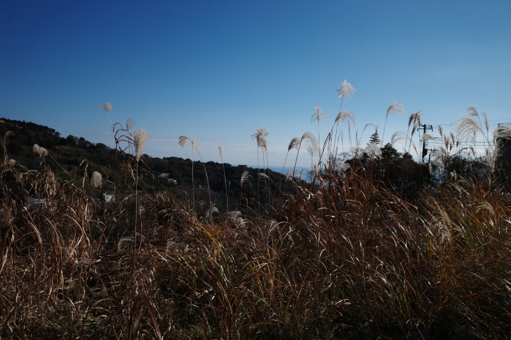 正月熱海旅行記 その14_a0287336_15030755.jpg