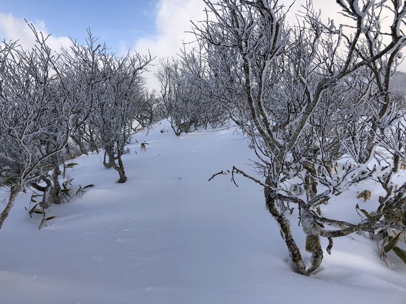 登山　2021年1月19日　厳冬期　冬山テント泊　道東　摩周岳　最低気温-23℃_b0187142_18082541.jpg