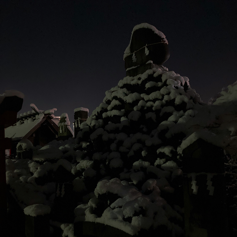 雪の白鬚富士_c0060143_21451979.jpg