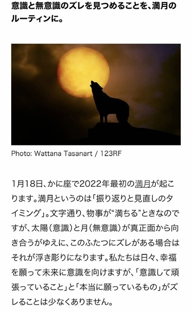 迷子のあくびちゃん 青山ぱせり日記