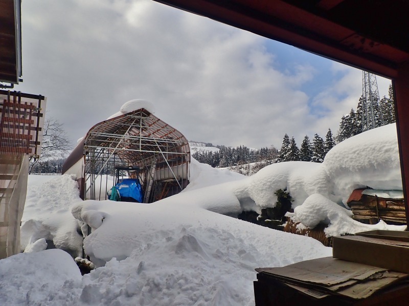 パイプハウスが雪に埋もれてきました!_c0336902_19302532.jpg