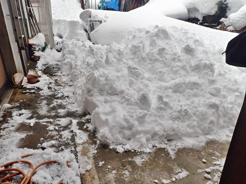 パイプハウスが雪に埋もれてきました！_c0336902_19302818.jpg