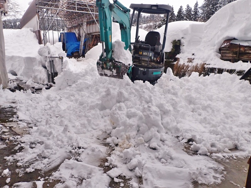 パイプハウスが雪に埋もれてきました！_c0336902_19303455.jpg