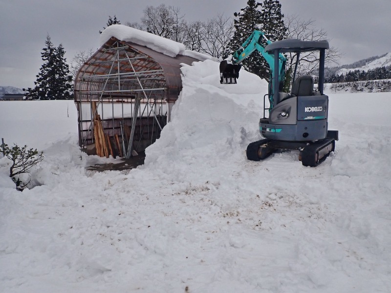 パイプハウスが雪に埋もれてきました！_c0336902_19304250.jpg