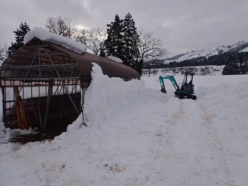パイプハウスが雪に埋もれてきました！_c0336902_19305063.jpg