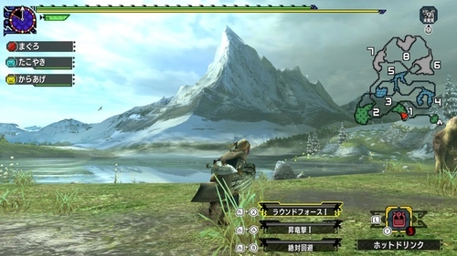 Mhxxの雑記 戦闘の挙動の微妙な違いに手こずる ゴチログ Gotthi Log