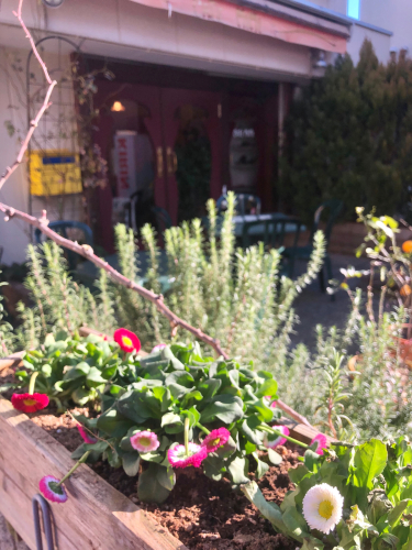 花言葉は 純潔 美 平和 希望 春にピッタリですね Cafe Mimi 吉祥寺南町のフレンチカフェ 雑貨