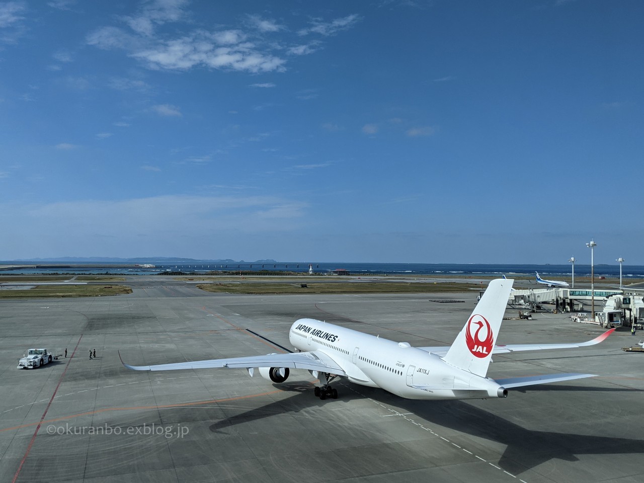 ウミガメのお手振り　　A380　　全日空（NH）_b0313338_22405068.jpg