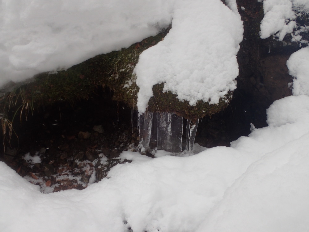 初級雪山体験 那岐山_c0218841_21365837.jpg