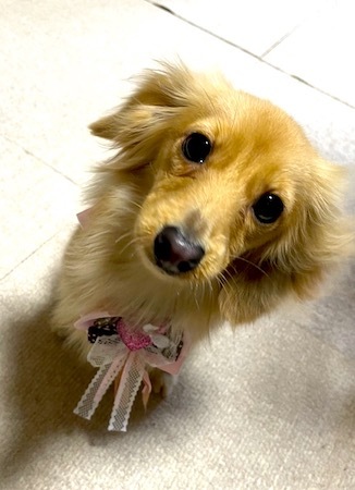 またアレに出ます。_f0000673_11341440.jpg