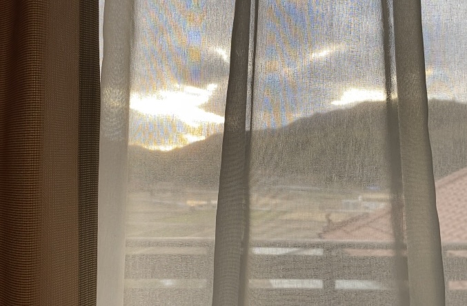 テーブルの上のヒヤシンス　その後_c0334574_16295839.jpeg