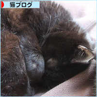 今日の枕_a0389088_16261524.jpg