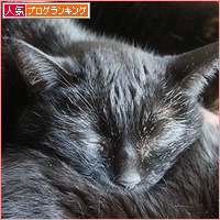 今日の枕_a0389088_16261553.jpg