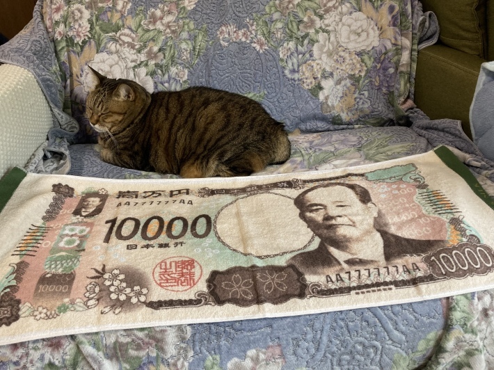 新札のタオル_b0412708_09222058.jpeg