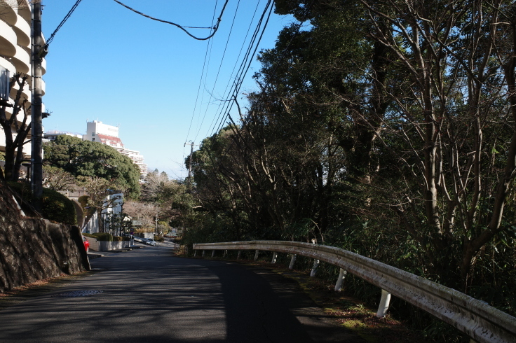 正月熱海旅行記 その15 ~ 中山晋平記念館 熱海梅園_a0287336_18041899.jpg