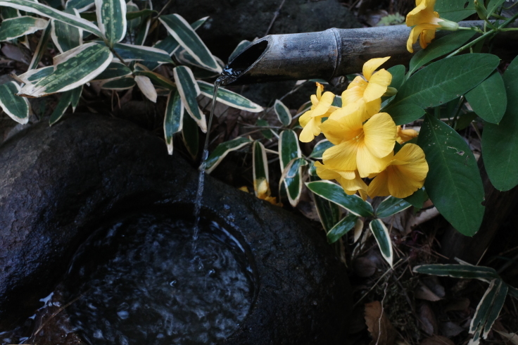 正月熱海旅行記 その15 ~ 中山晋平記念館 熱海梅園_a0287336_18183225.jpg