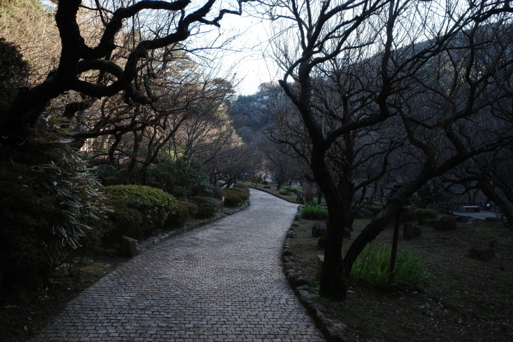 正月熱海旅行記 その15 ~ 中山晋平記念館 熱海梅園_a0287336_18191641.jpg
