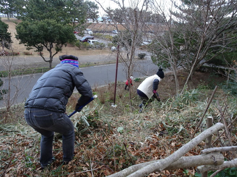 崖の笹刈:継続作業・・・定例活動日_c0108460_14350624.jpg
