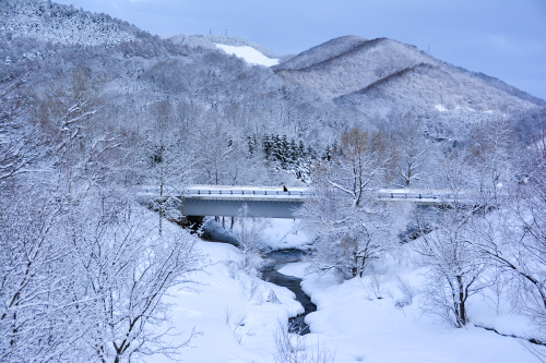 雪便り 8_f0143469_21053071.jpg