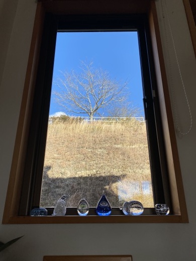 裏窓から見える空_c0334574_16272187.jpeg