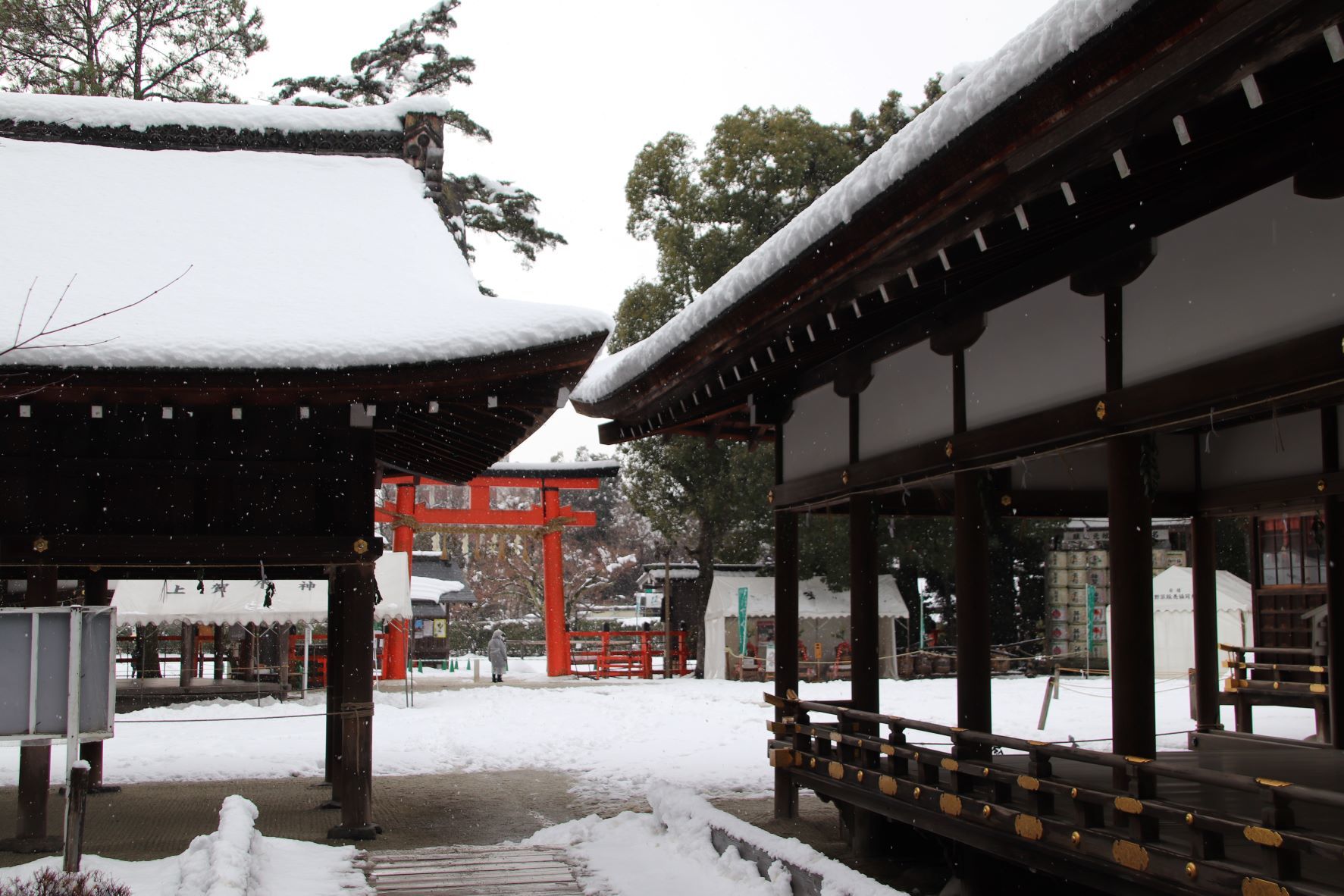 大雪になった　上賀茂神社へ_e0048413_16174883.jpg