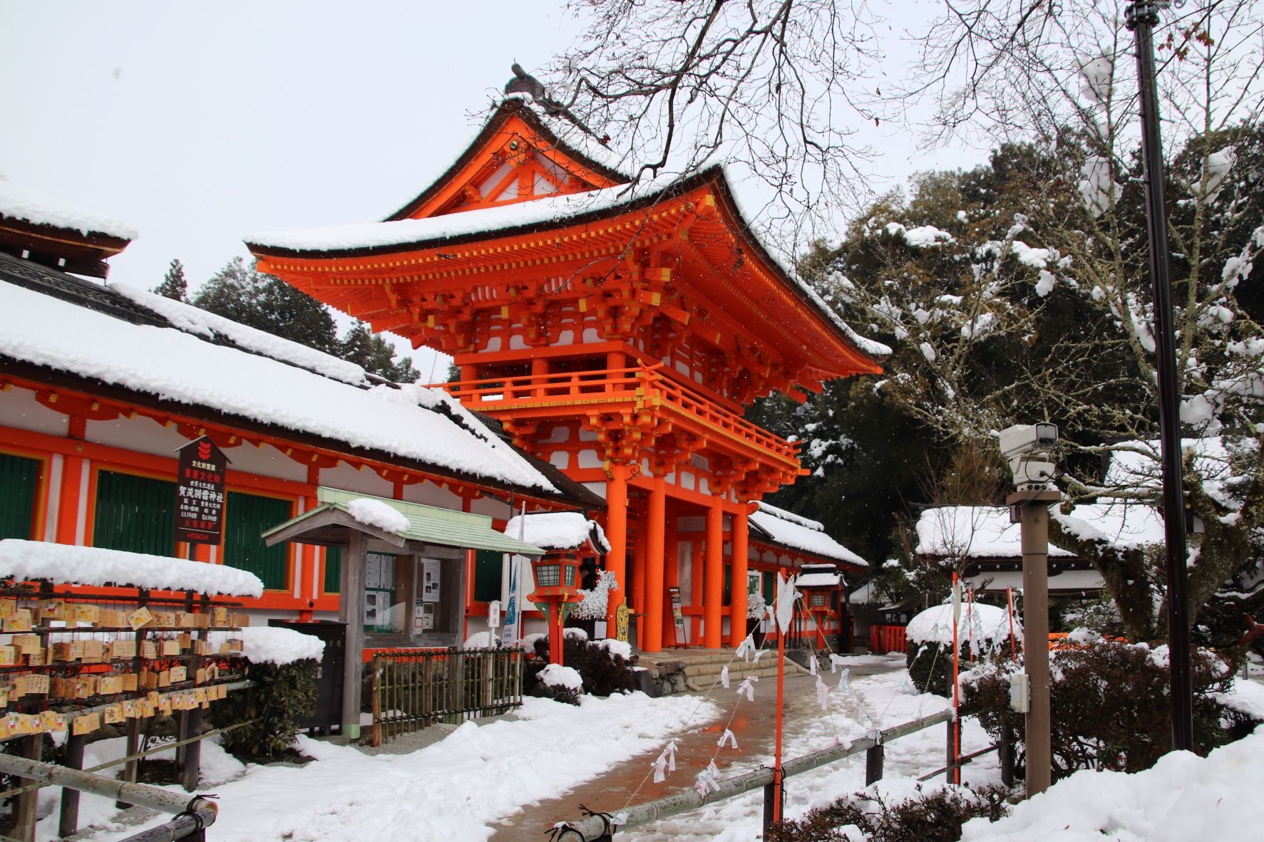 大雪になった　上賀茂神社へ_e0048413_16180660.jpg