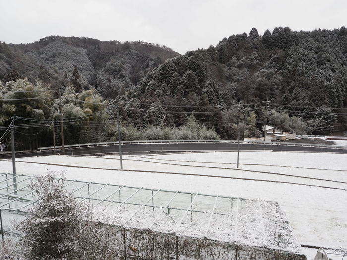 今朝も薄っすら雪景色_c0116915_22401793.jpg