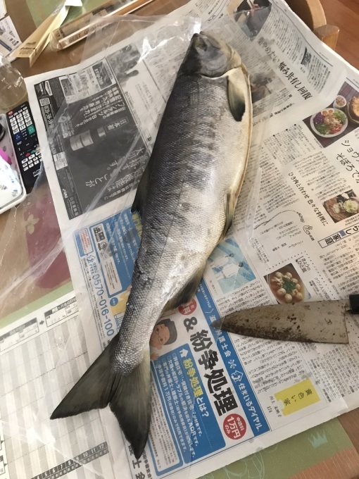 北海道産の鮭_b0100062_08120648.jpeg