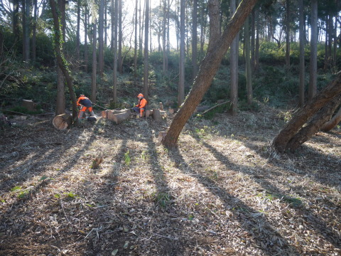 開始前と終了後に安全対策確認1・20六国見山手入れ（上）_c0014967_07530942.jpg