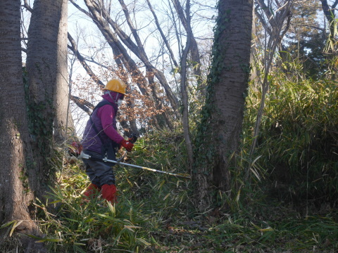 開始前と終了後に安全対策確認1・20六国見山手入れ（上）_c0014967_08003012.jpg