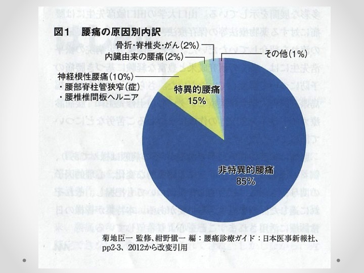 非特異的腰痛とは？_b0052170_12580426.jpg