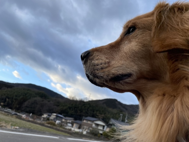 リセット完了。_a0394574_21020166.jpeg