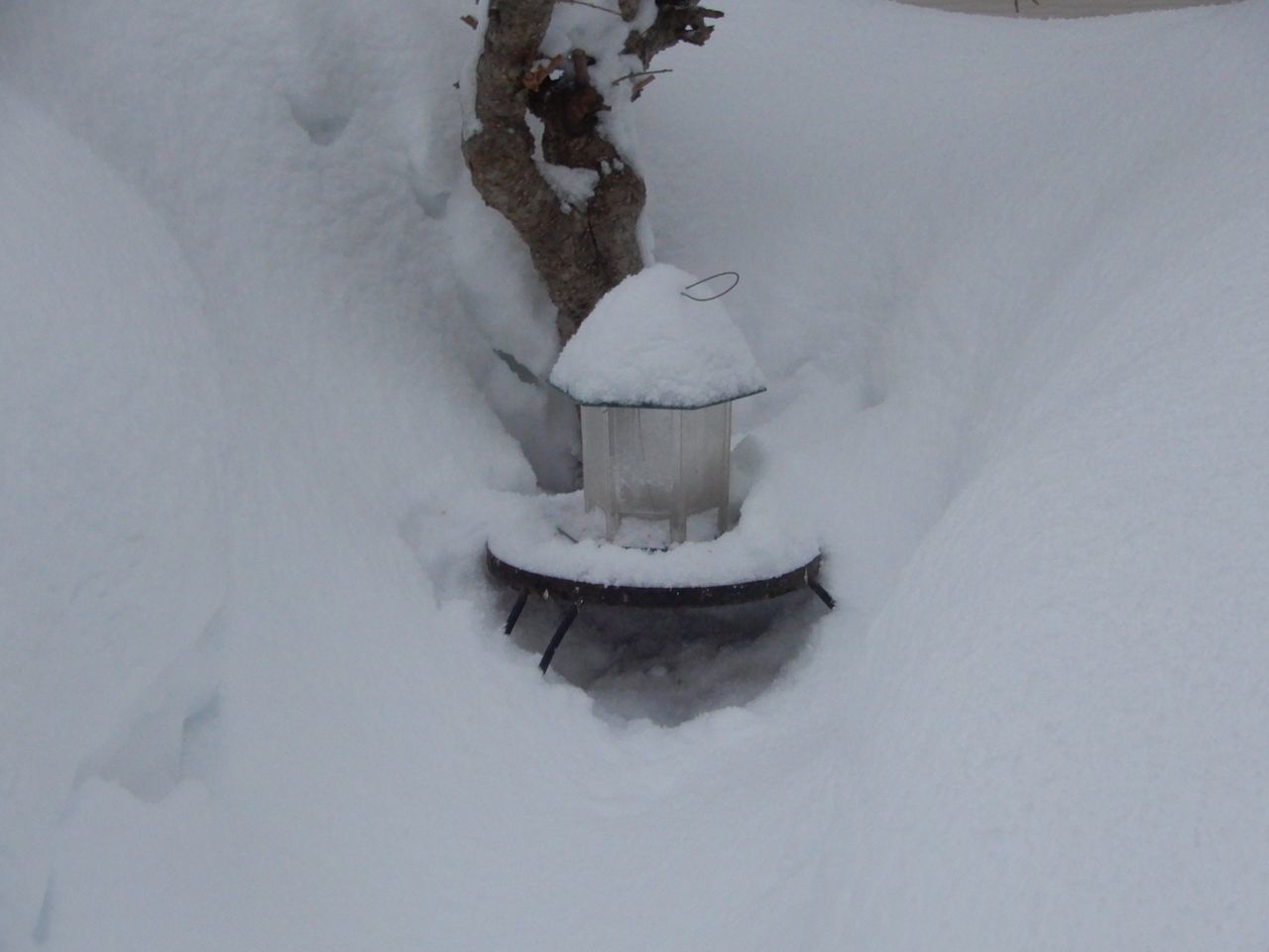 今日は除雪3回_c0025115_22450048.jpg