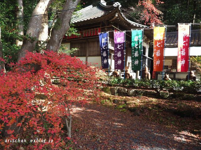 赤山禅院＠京都の12月の紅葉_e0406439_08530168.jpg