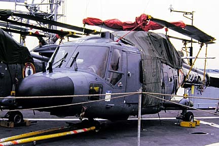 サルグミンヌ　ジャンヌダルクの美しいトーキングプレート サルグミンヌ ジャンヌダルクの美しいトーキングプレート